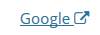 The text "Google" next to an "opens in new window" icon.